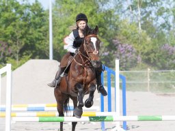 IMG_0661_web